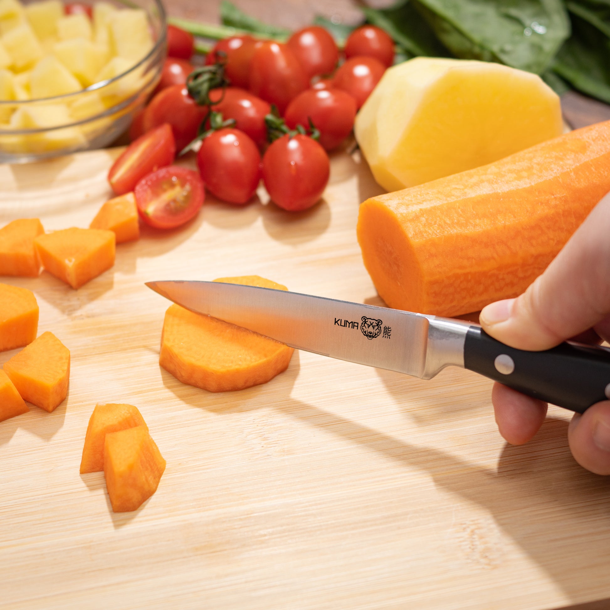 Kitchen + Home Paring Knife – 2.5” Ultra Sharp Surgical Stainless